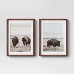 Threshold Bison Framed Prints